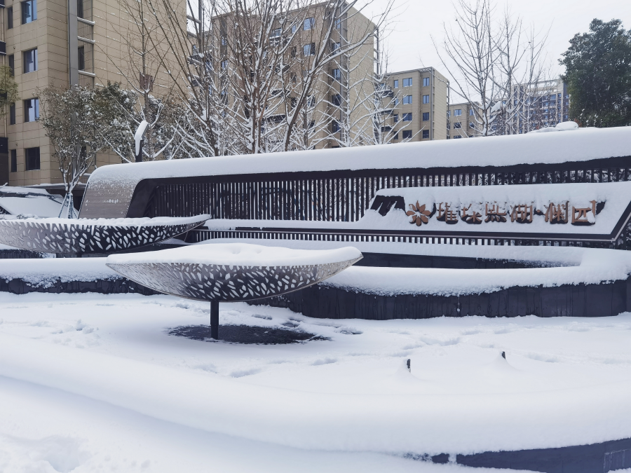 除雪更添暖！世茂服务郑州助农采购4000斤蔬菜送业主过暖冬_中国网地产